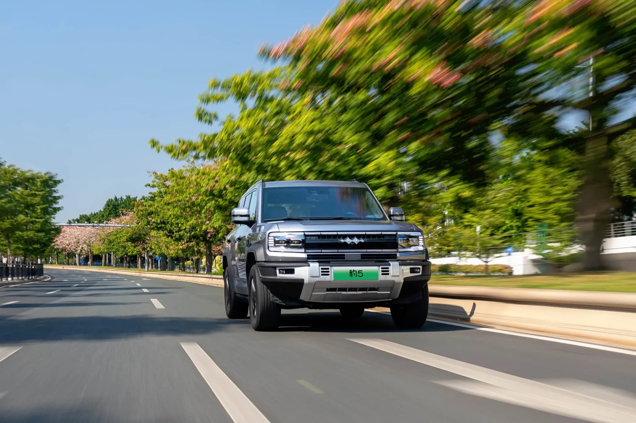 BYD Leopard 5 RHD