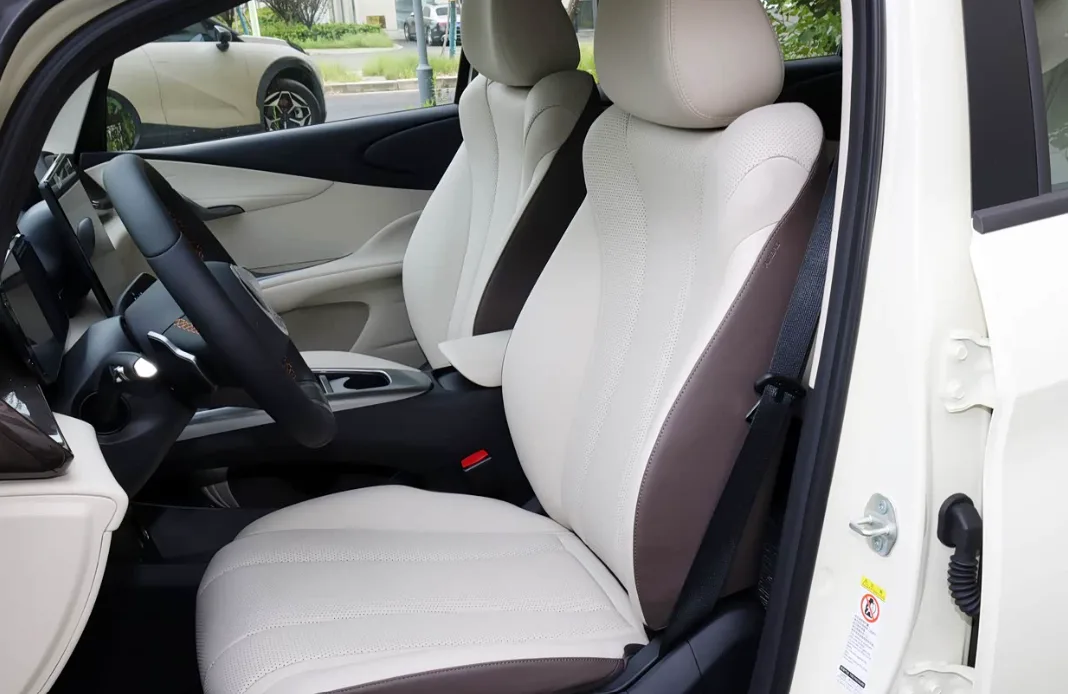 BYD Dolphin โ cabin